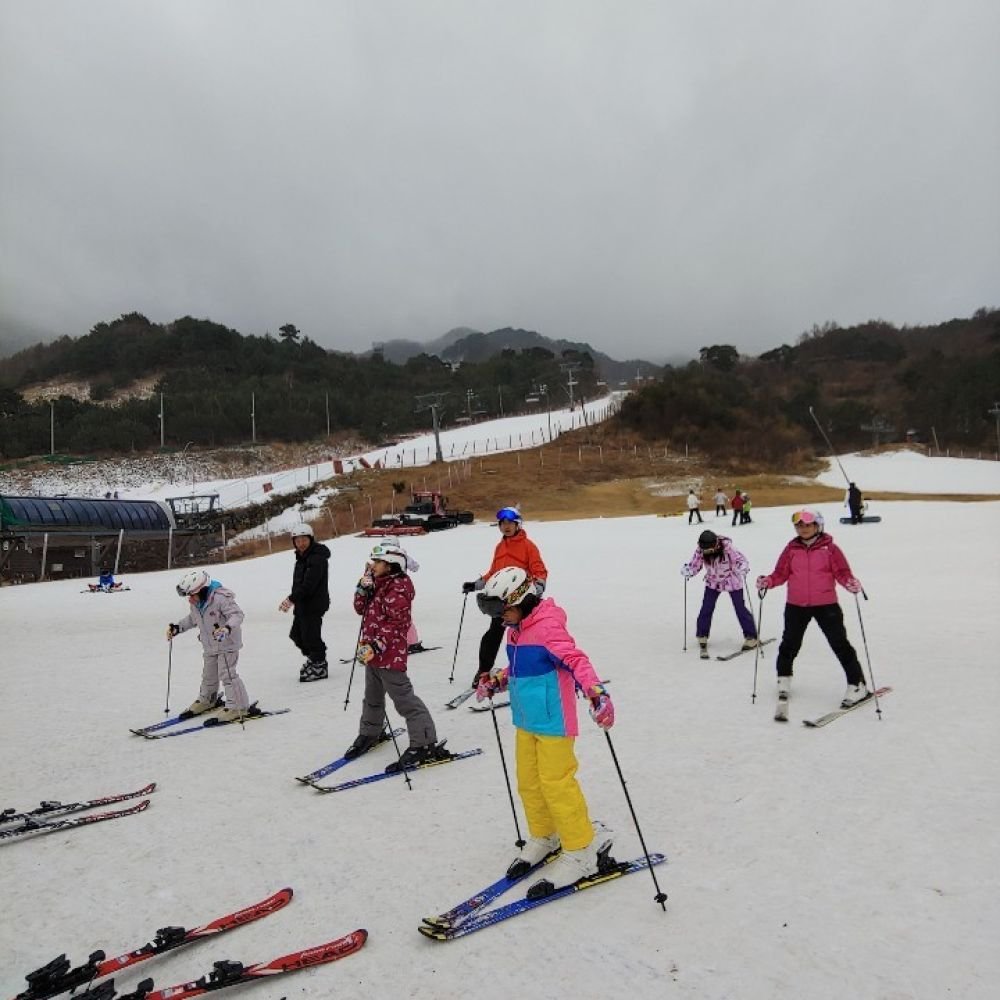 다숲이맺은인연