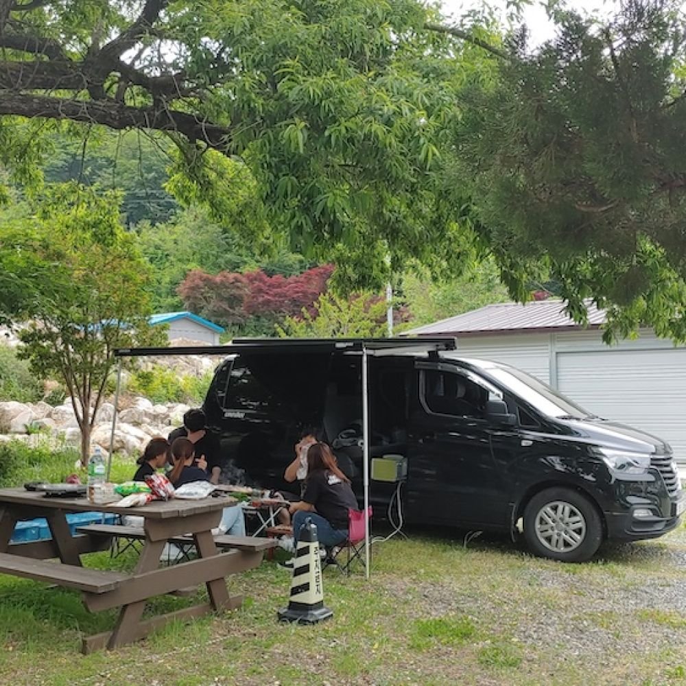 다숲이맺은인연